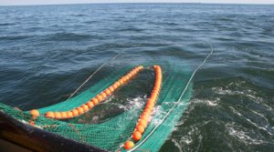 How to use trawl nets - Weihai Huaxing Nets Co Ltd