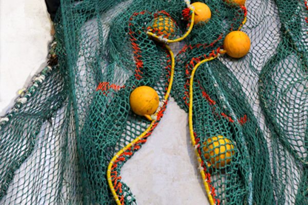 Trawl Nets