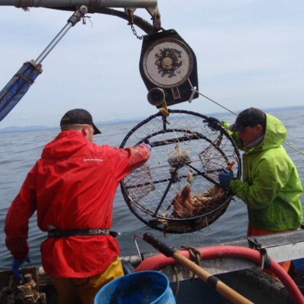 Crab trap , crab lobster trap , fishing net factory