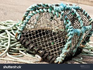 Fish Trap