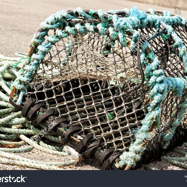 Fish Trap