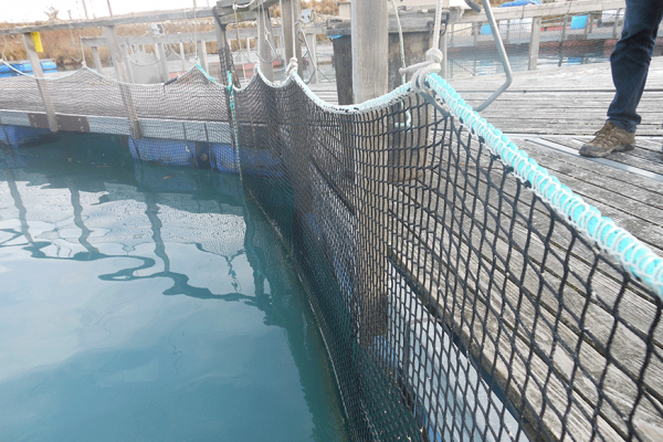 Fish Farming Net Cage