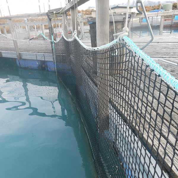 Fish Farming Net Cage