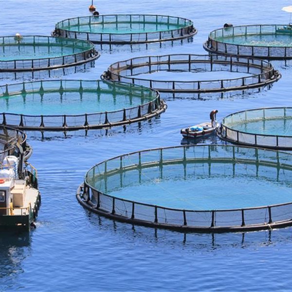 Fish Farming Net Cage