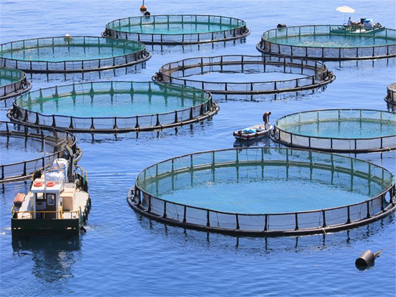 Materials of aquaculture nets - Weihai Huaxing Nets Co Ltd
