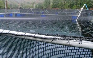 Fish Net Pens