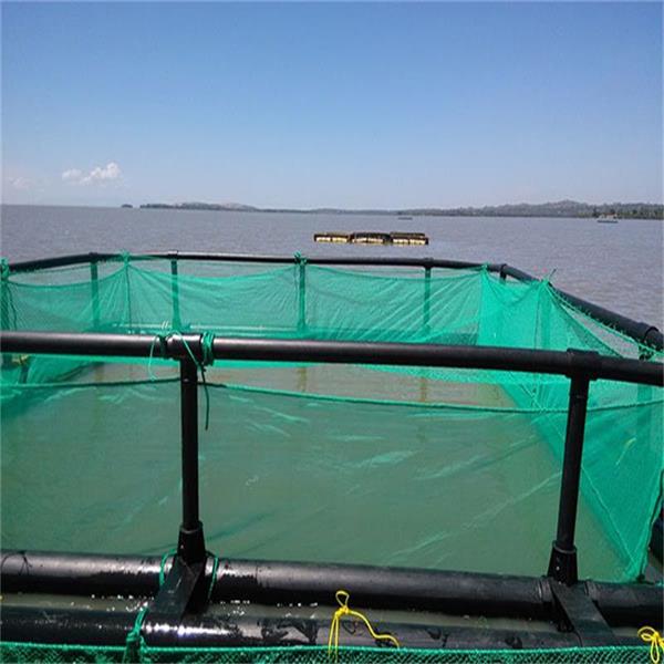 PE Cage Net For Fish Farming