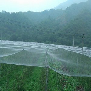 Bird and hail Netting