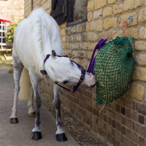 Trickle Mini Hay net